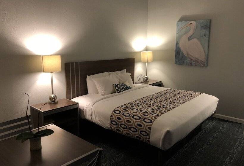 فندق Sand Dollar Inn