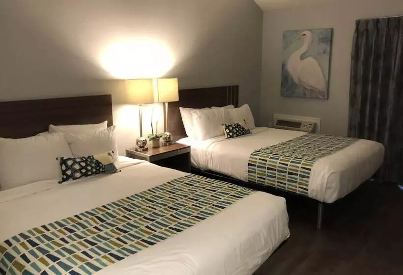 בית מלון כפרי Sand Dollar Inn