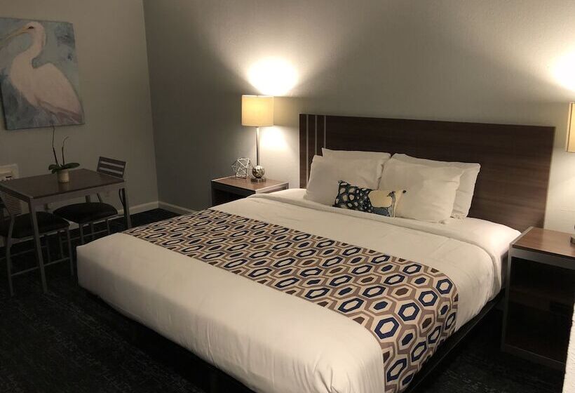 فندق Sand Dollar Inn