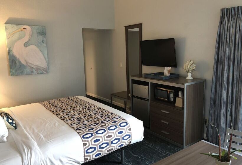 فندق Sand Dollar Inn