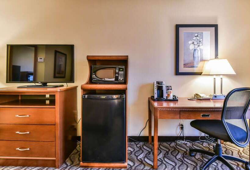 فندق Comfort Inn & Suites Ambassador Bridge