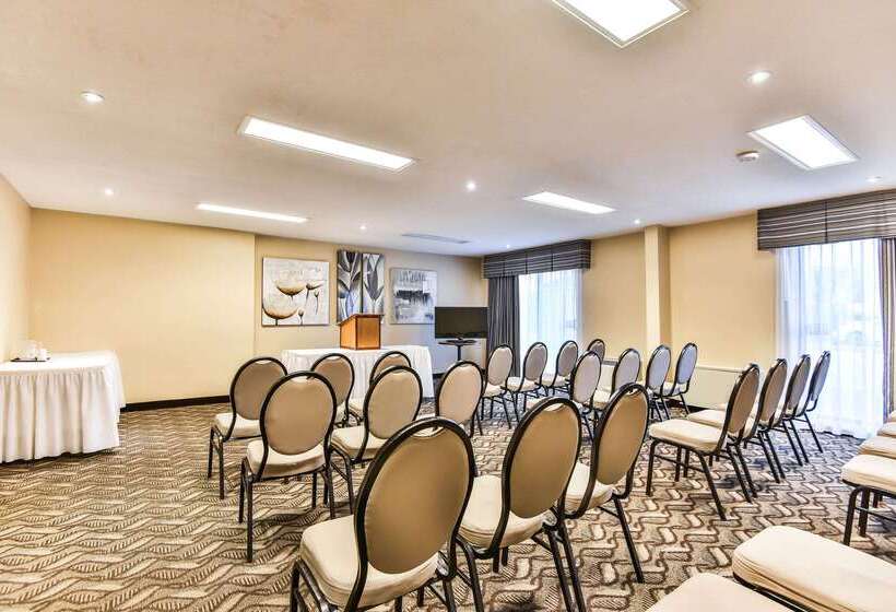فندق Comfort Inn & Suites Ambassador Bridge