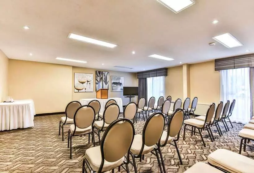 호텔 Comfort Inn & Suites Ambassador Bridge
