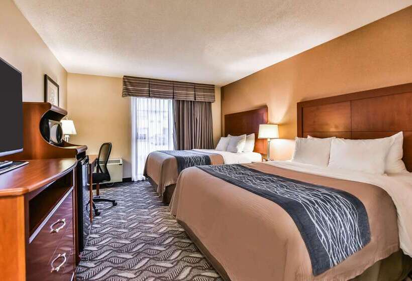 فندق Comfort Inn & Suites Ambassador Bridge