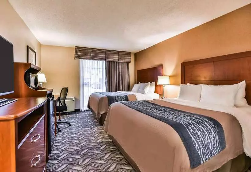 호텔 Comfort Inn & Suites Ambassador Bridge
