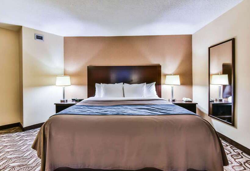 فندق Comfort Inn & Suites Ambassador Bridge
