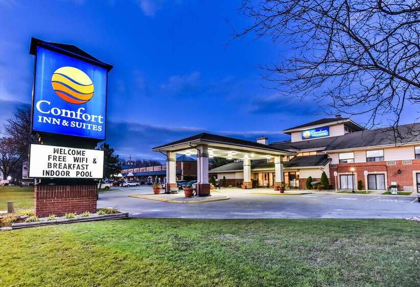 فندق Comfort Inn & Suites Ambassador Bridge
