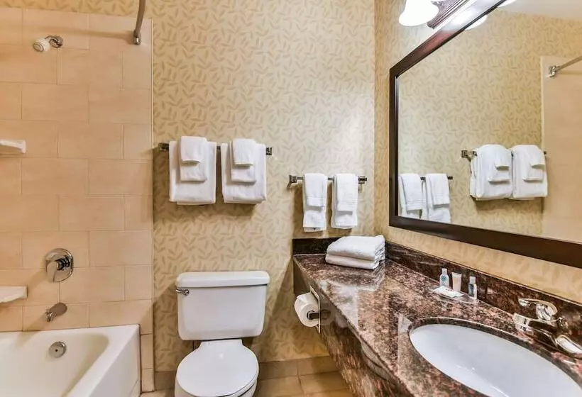 호텔 Comfort Inn & Suites Ambassador Bridge