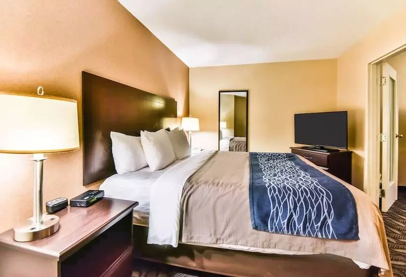 호텔 Comfort Inn & Suites Ambassador Bridge