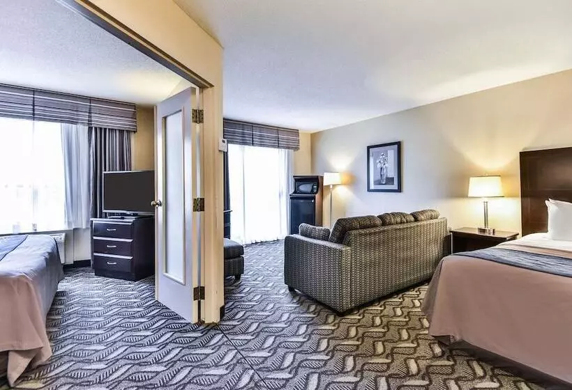 호텔 Comfort Inn & Suites Ambassador Bridge