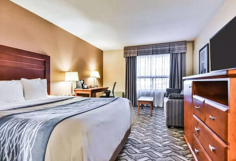 호텔 Comfort Inn & Suites Ambassador Bridge