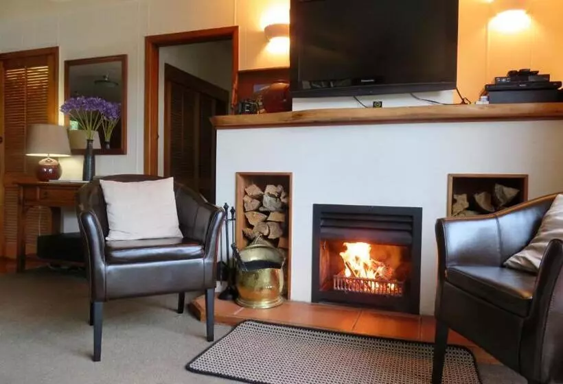 호텔 Coromandel Apartments