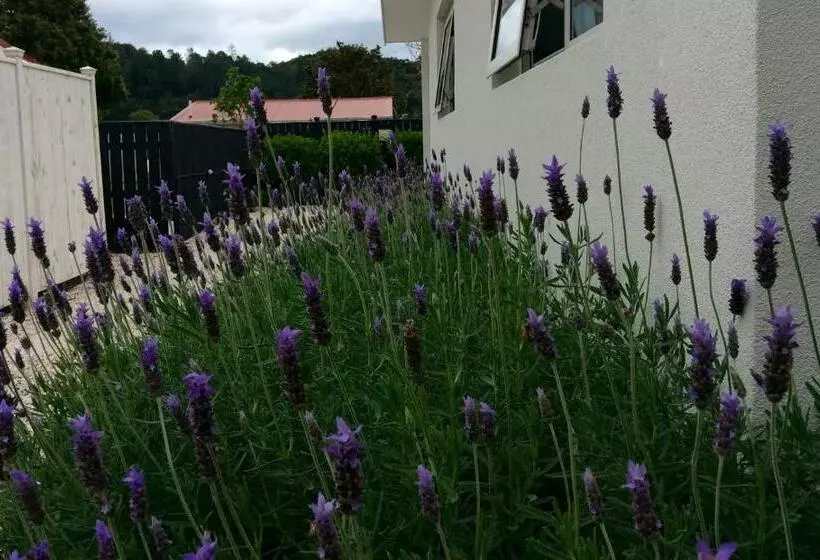 호텔 Coromandel Apartments