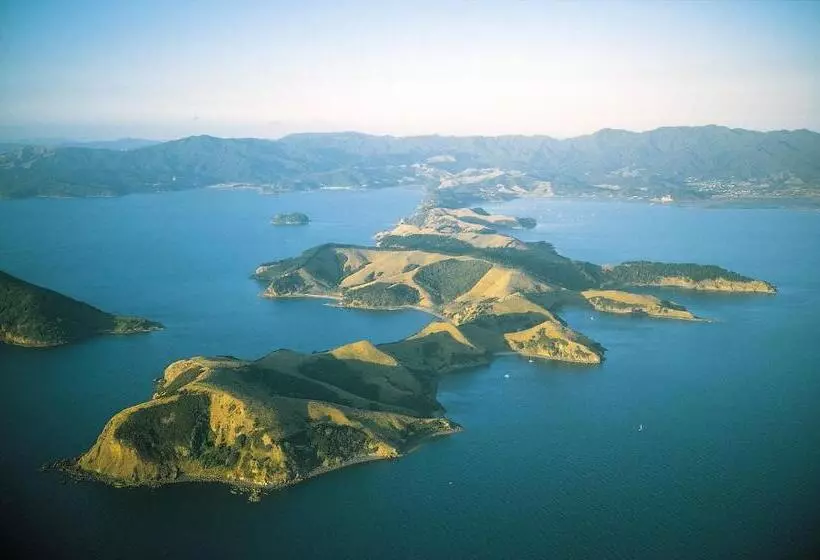 호텔 Coromandel Apartments