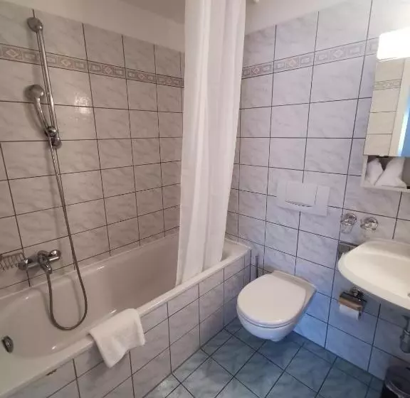 هتل Nessi Locarno