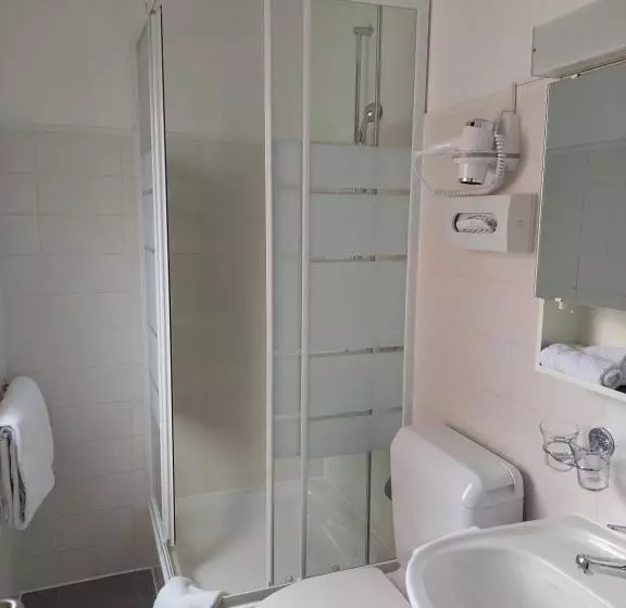 هتل Nessi Locarno