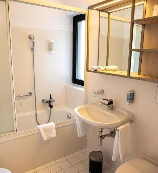 هتل Nessi Locarno