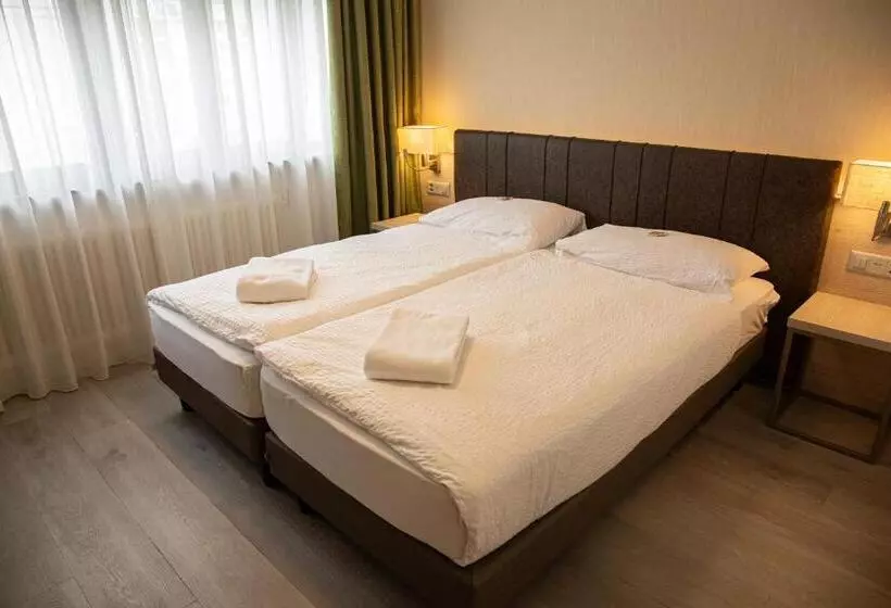 هتل Nessi Locarno