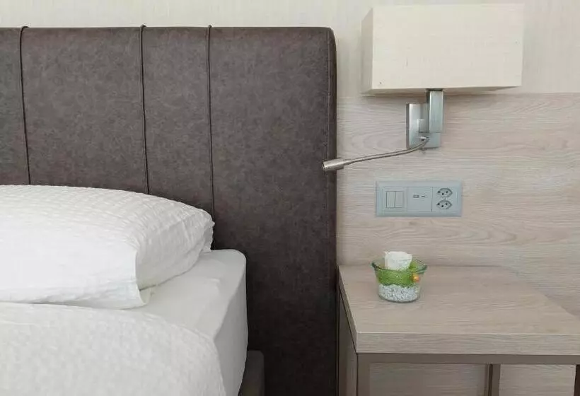 هتل Nessi Locarno