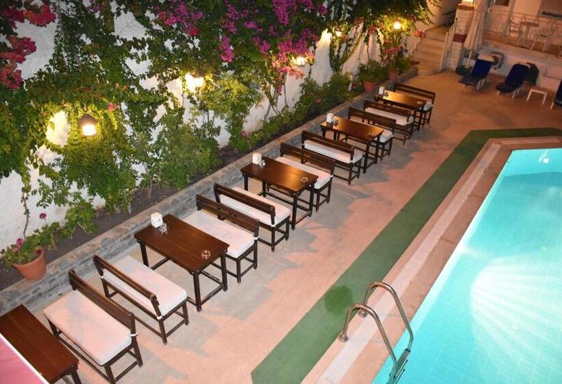 فندق Seckin Best