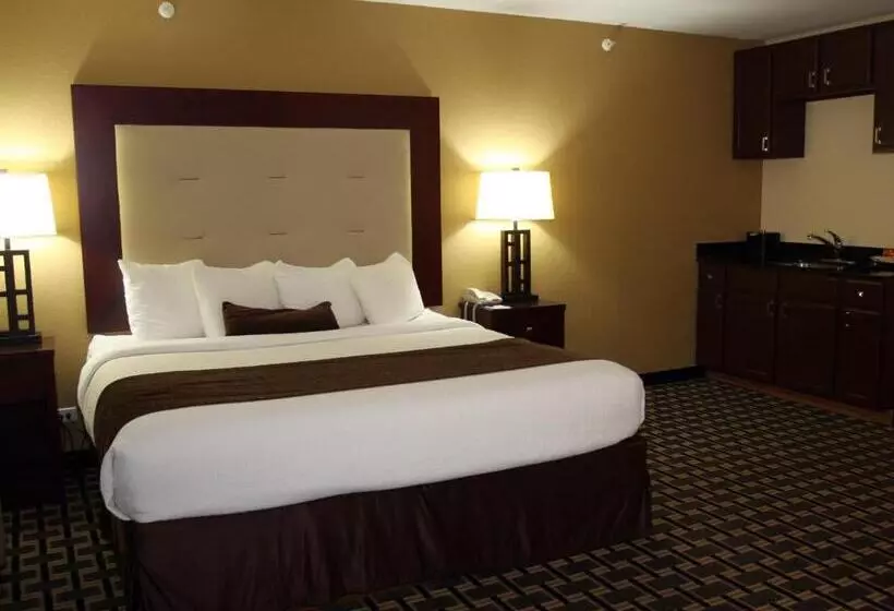 ホテル Americinn By Wyndham Woodstock Il