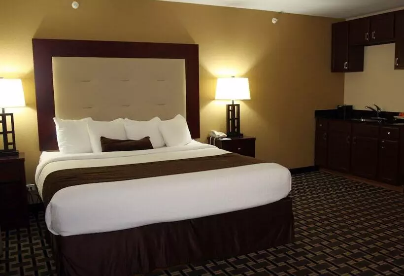 ホテル Americinn By Wyndham Woodstock Il