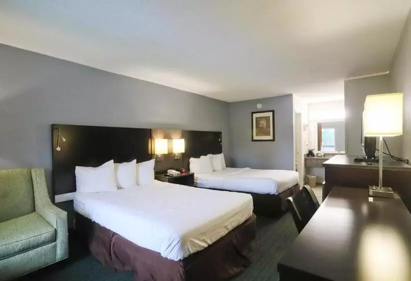 ホテル Greenville Inn & Suites