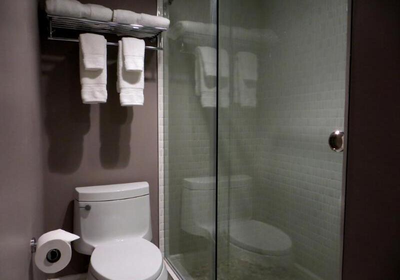 هتل Oasis At Gold Spike