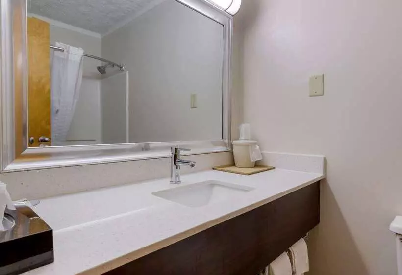 ホテル Quality Inn Roxboro South