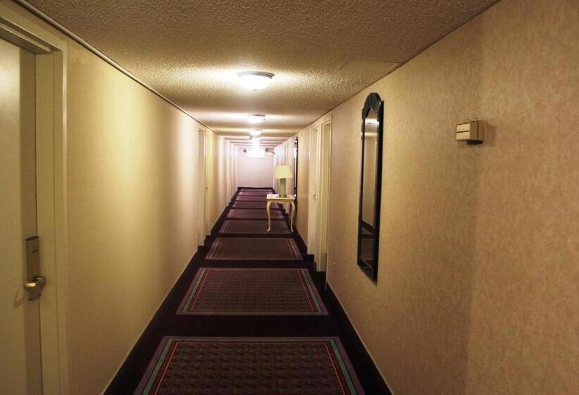 Shalimar Hotel Of Las Vegas