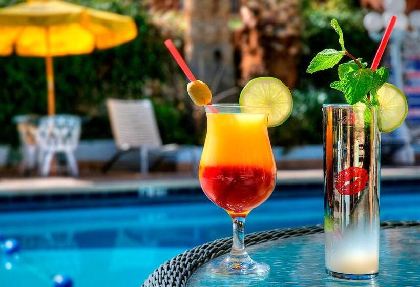 Shalimar Hotel Of Las Vegas