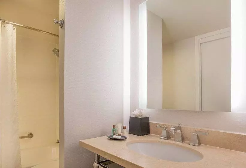 هتل Sheraton Suites Chicago Elk Grove