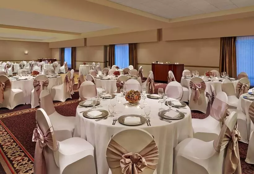 هتل Sheraton Suites Chicago Elk Grove