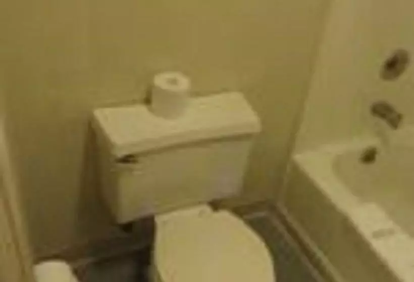 酒店 University Inn