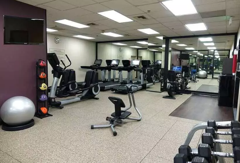 ホテル Embassy Suites By Hilton Los Angeles International Airport North