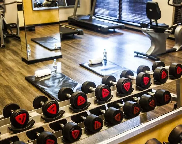 Отель Garden Court Or Tambo International Airport