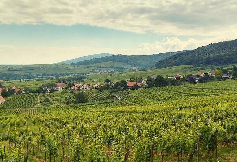 Отель Hôtel Restaurant Le Kastelberg, The Originals Boutique