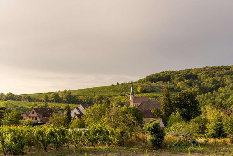 فندق Hôtel Restaurant Le Kastelberg, The Originals Boutique