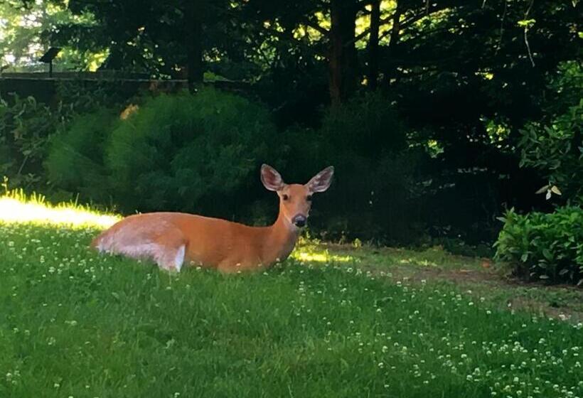 Hotel Rutgers University Inn And Conference Center