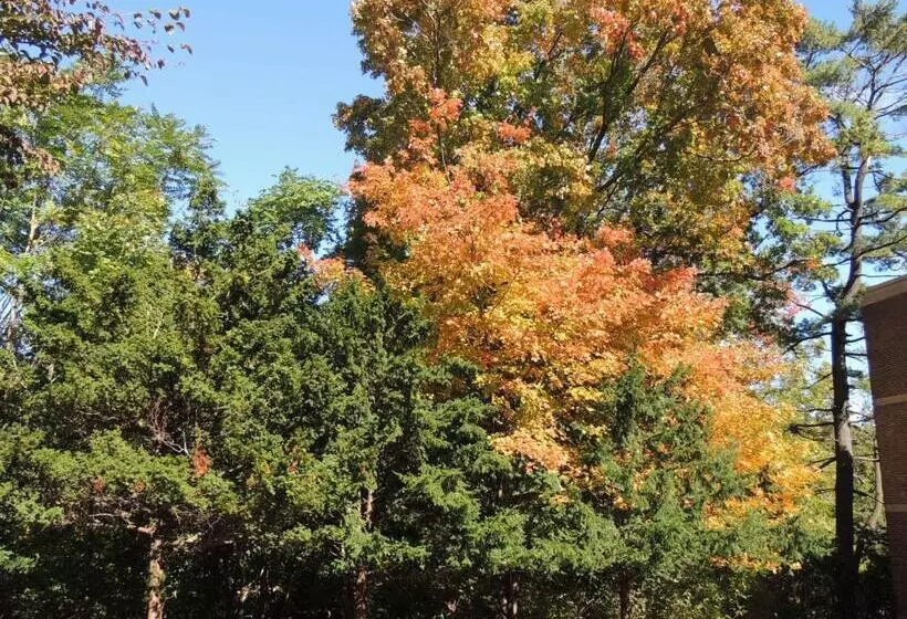 فندق Rutgers University Inn And Conference Center