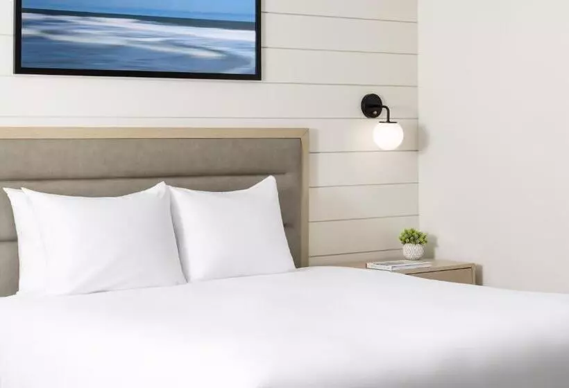 호텔 The Pell, Part Of Jdv By Hyatt