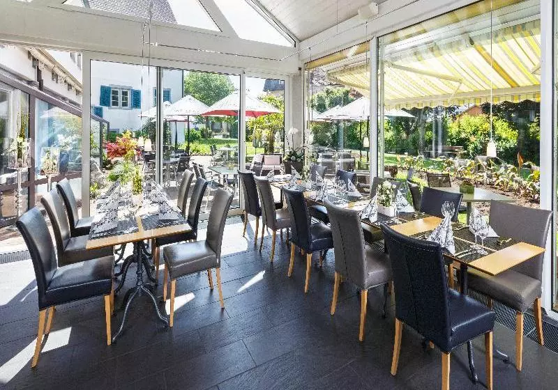 Отель Wellness  Tenedo  Thermalquellen Resort Bad Zurzach