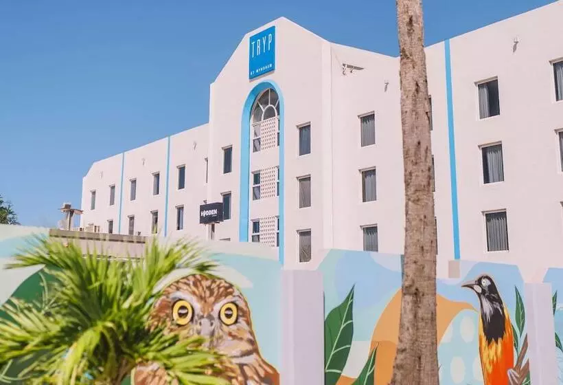 هتل Tryp by Wyndham Aruba - Adults Only