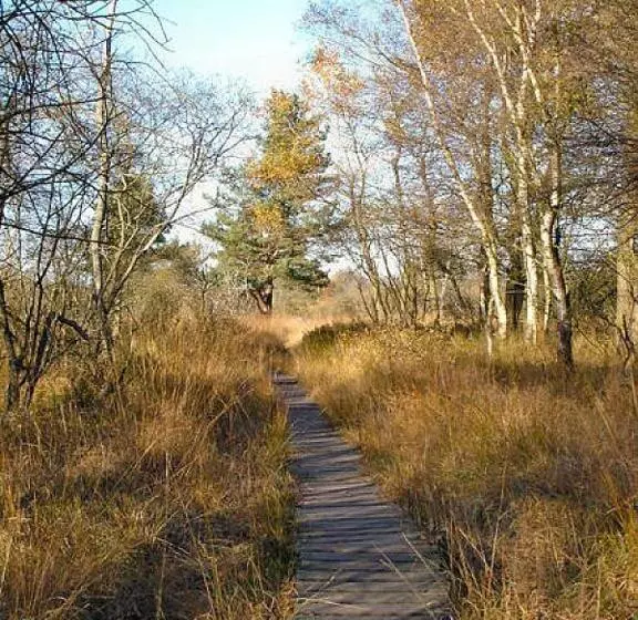 Gourmet Hotel Zur Post