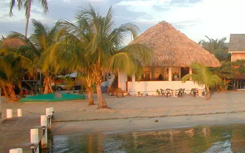 منتجع Green Parrot Belize