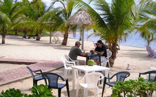 منتجع Green Parrot Belize