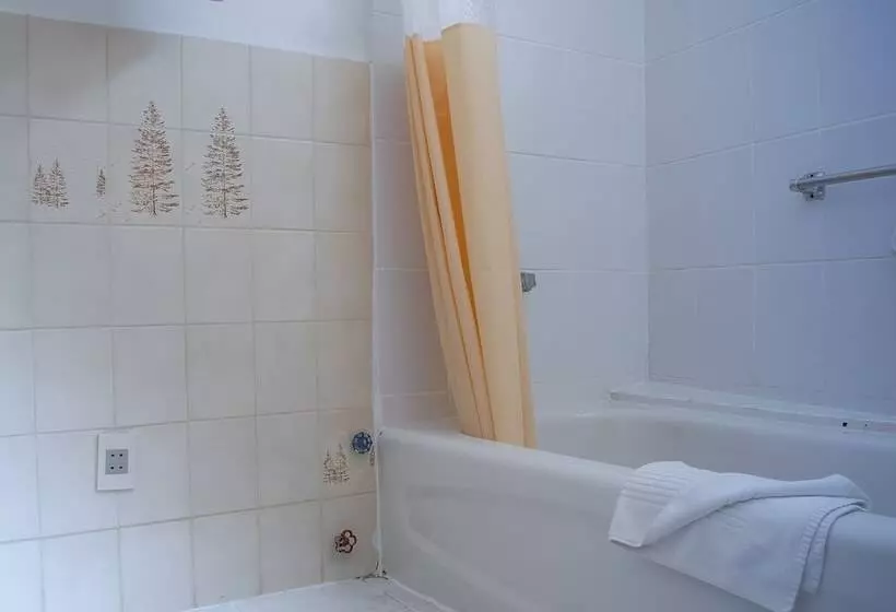 هتل El Rey Palace