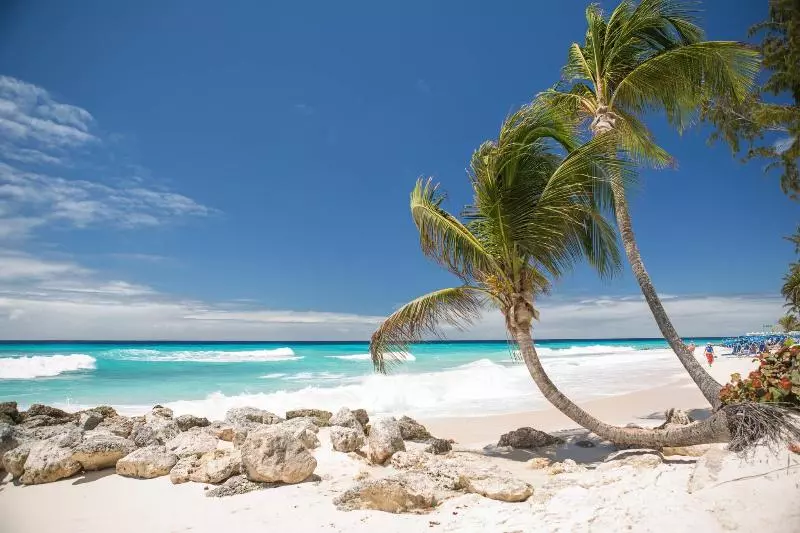 Turtle Beach By Elegant Hotels All Inclusive