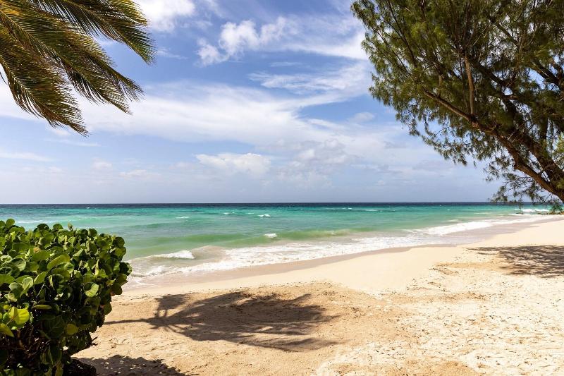 Turtle Beach By Elegant Hotels All Inclusive