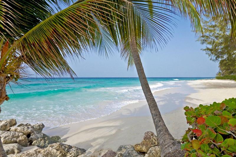 Turtle Beach By Elegant Hotels All Inclusive